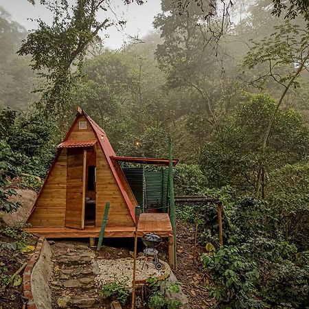 Eco Cabin - Tanoa Minca Hotel Eksteriør billede