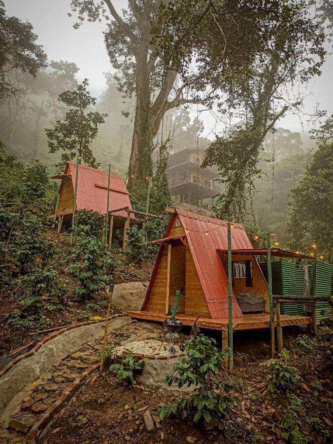 Eco Cabin - Tanoa Minca Hotel Eksteriør billede