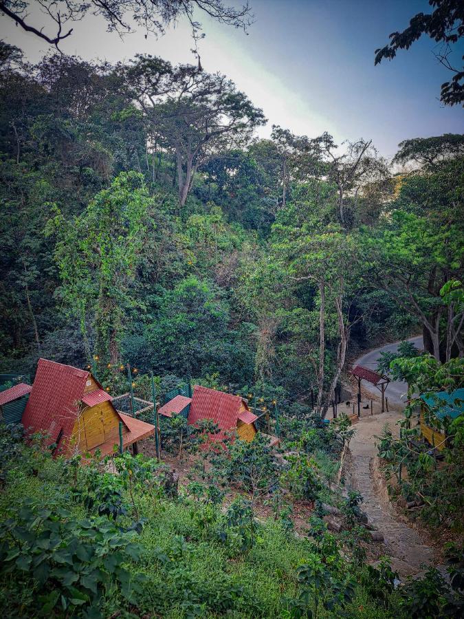 Eco Cabin - Tanoa Minca Hotel Eksteriør billede